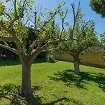 Hanami La Palma